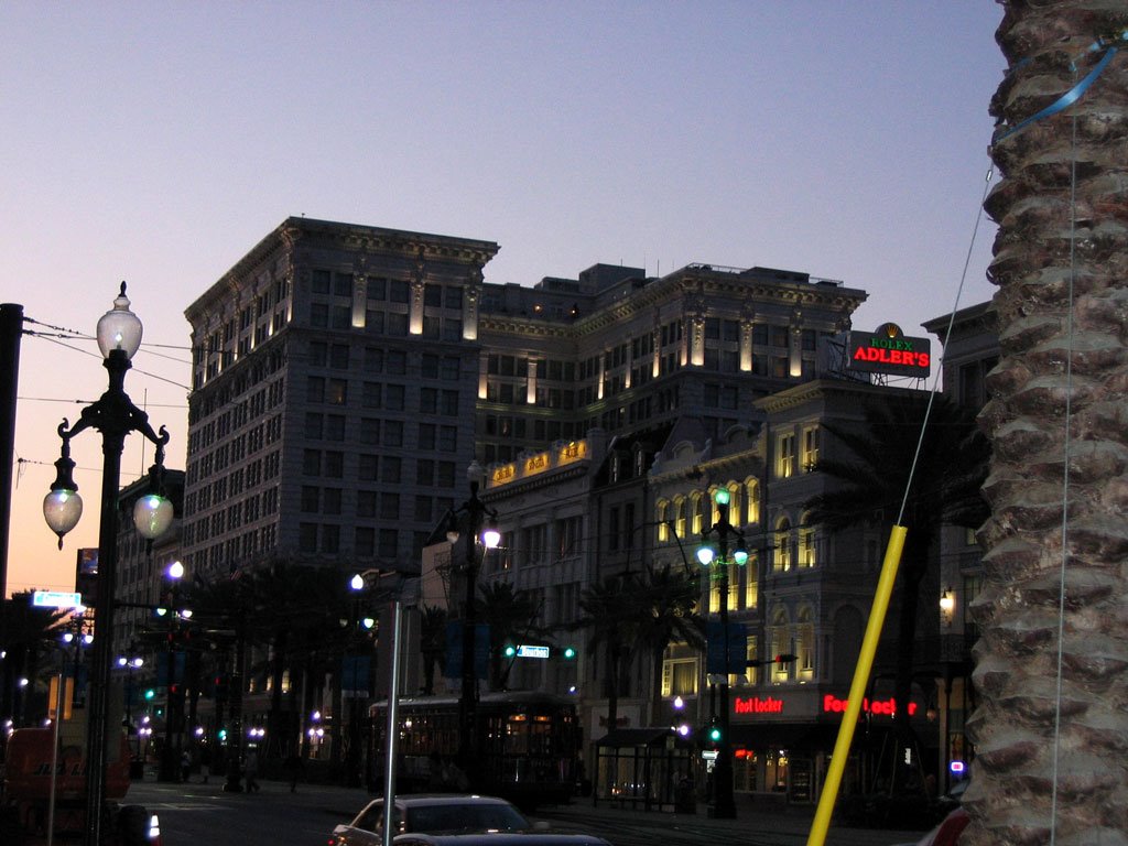 Canal street nightscape