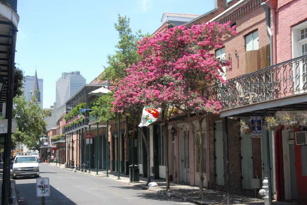 NewOrleansFrenchQ0606PJA_0535l