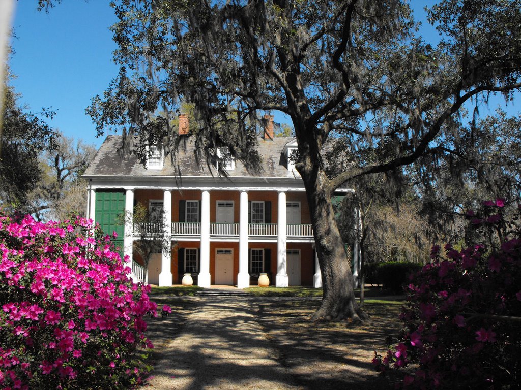 Shadows on the Teche
