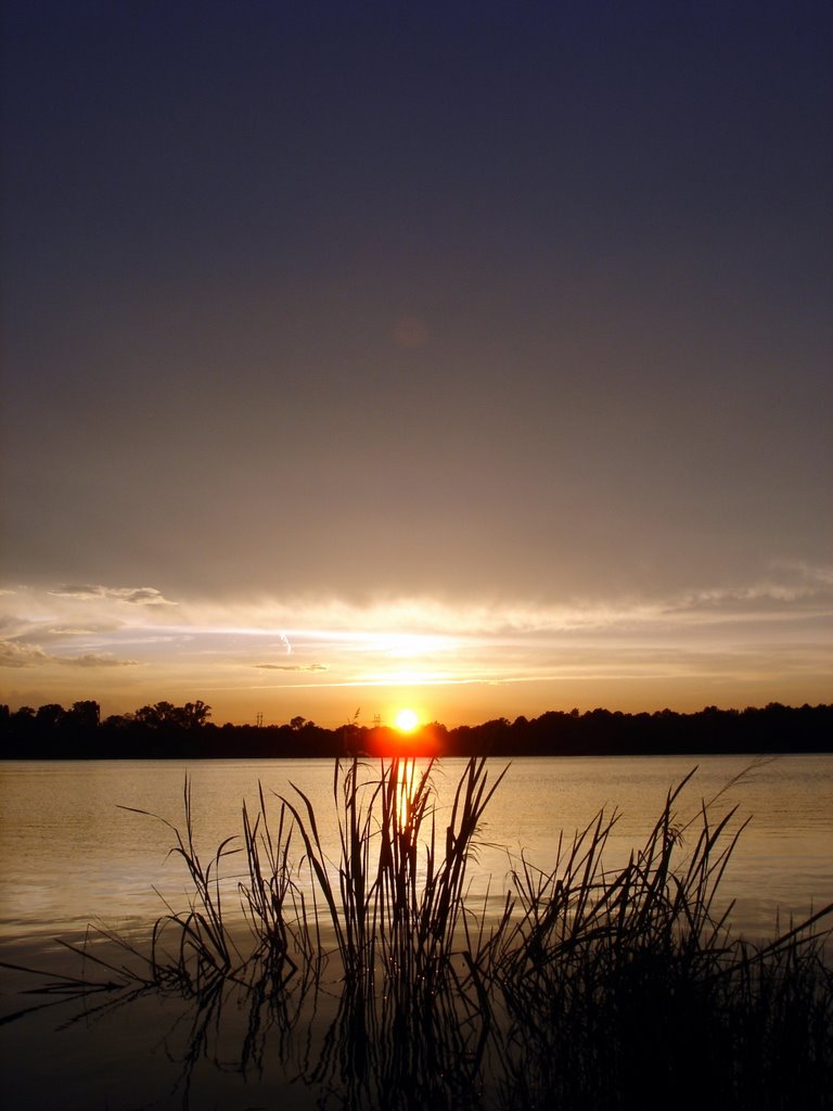 Bulow Lake
