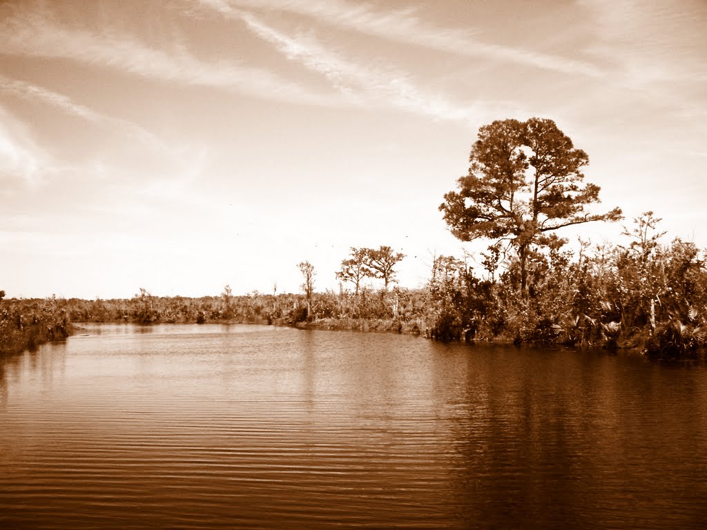 Pearl River, Louisiana