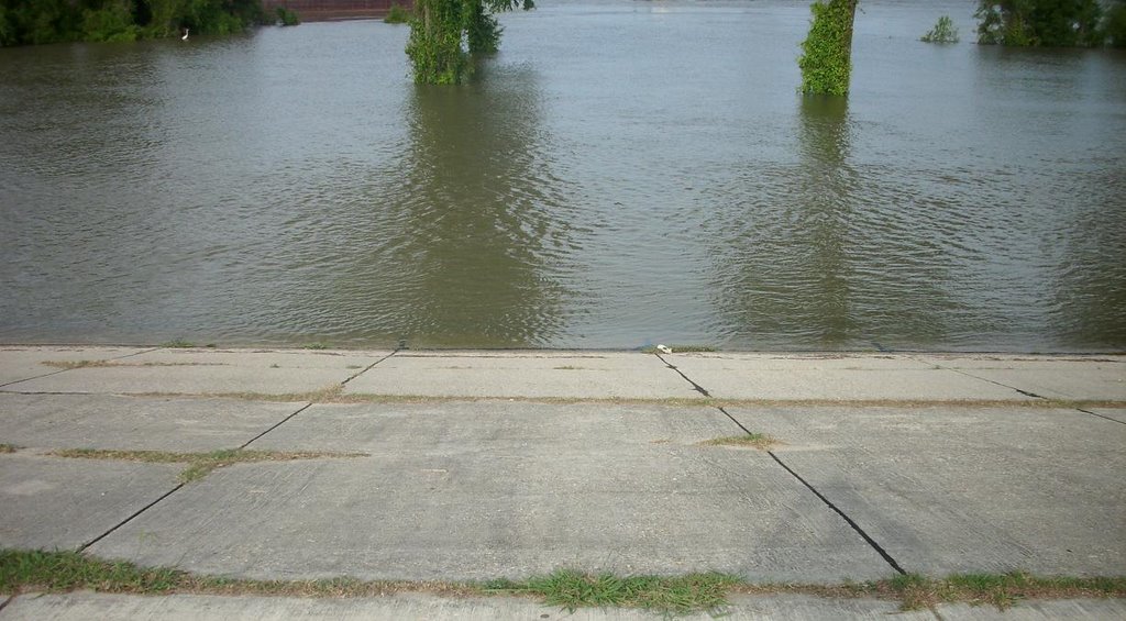 Swelling Mississippi River