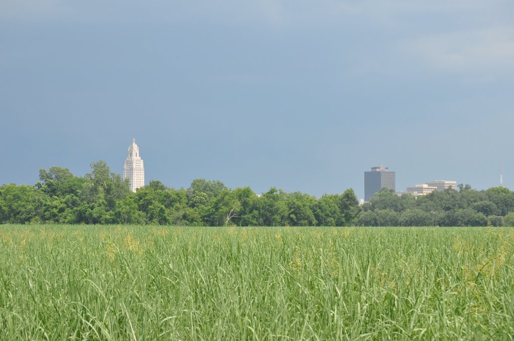 Louisiana State Capital