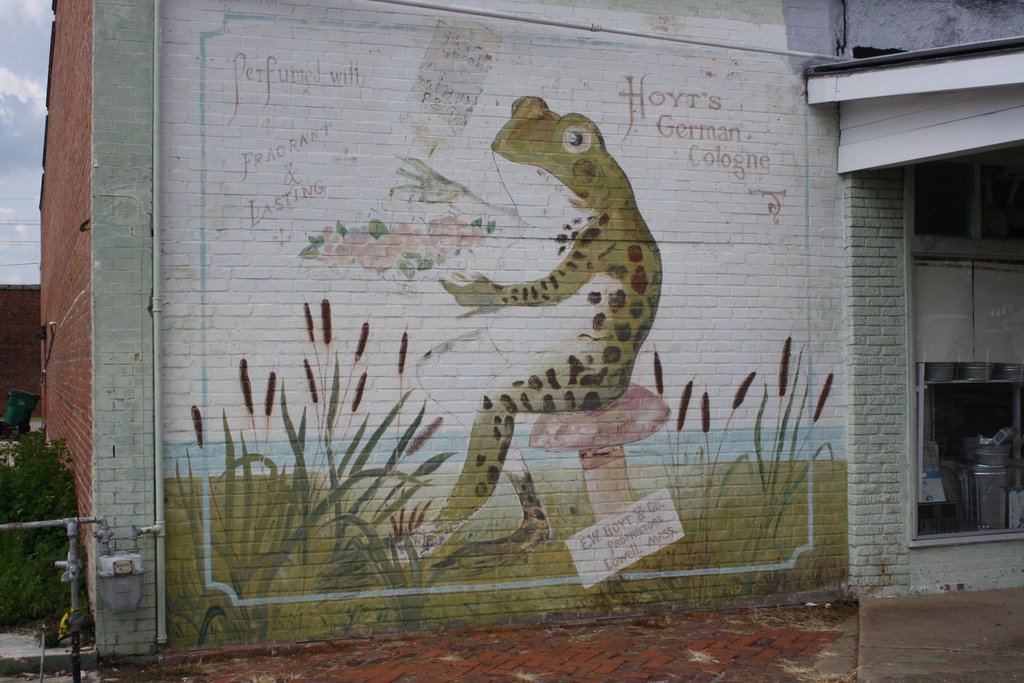 Rayne Frog 1