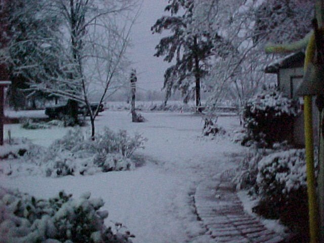SNOW  IN SOUTH LOUISIANA
