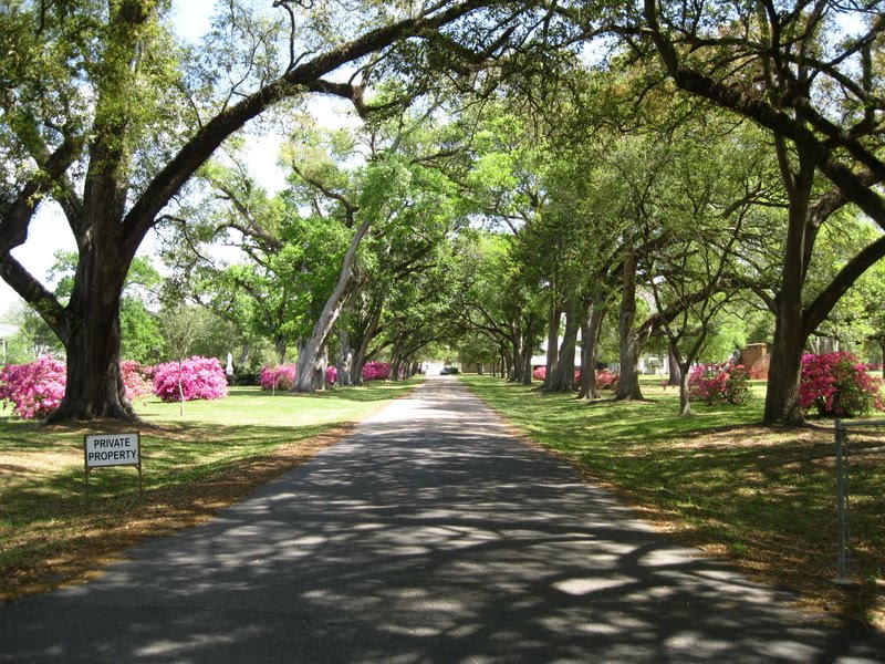 Side entrance to St. Charles College in Grand Coteau, LA