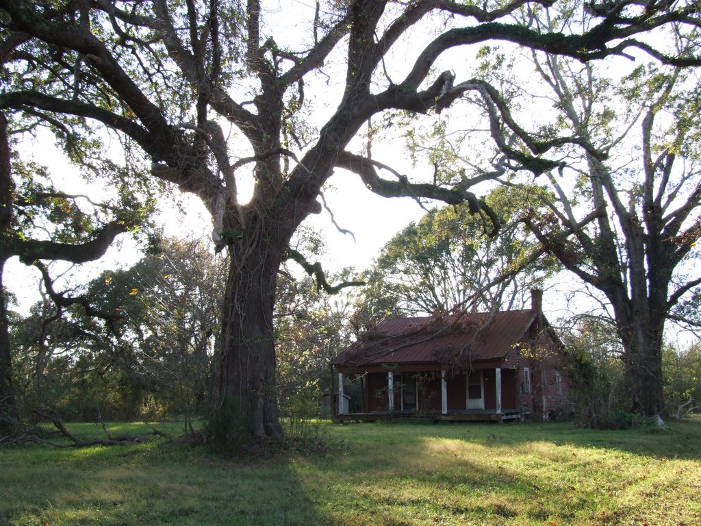 Boudreaux Plantation