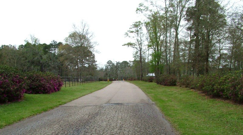 Rural Springfield, LA