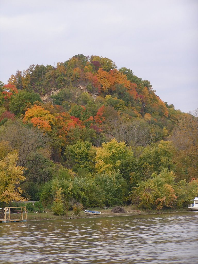 Pike County Bluff, Mississippi River, October 2009