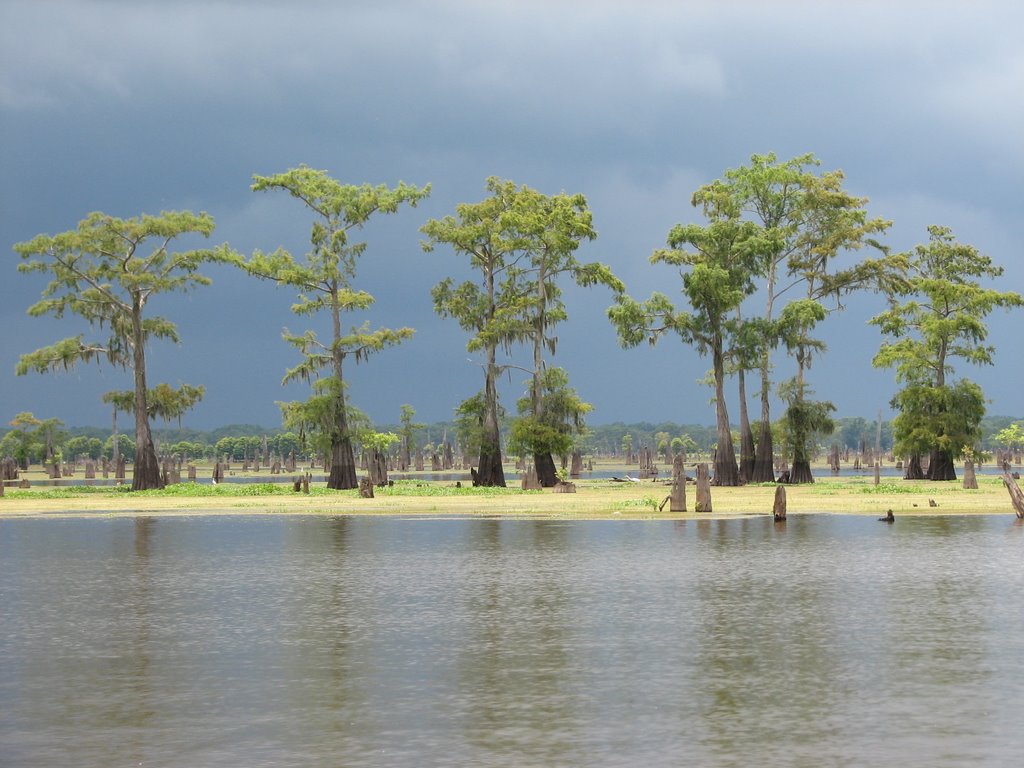 Storm approaching, Atchafalaya, Louisiana, USA