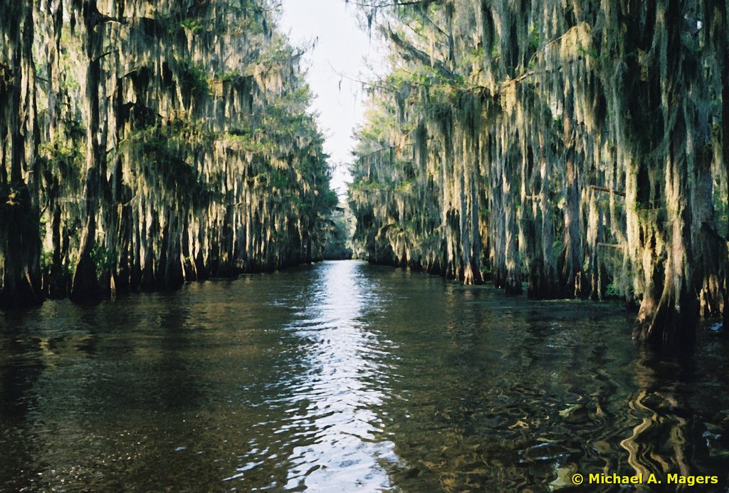 Government Ditch - Caddo Lake, Texas
