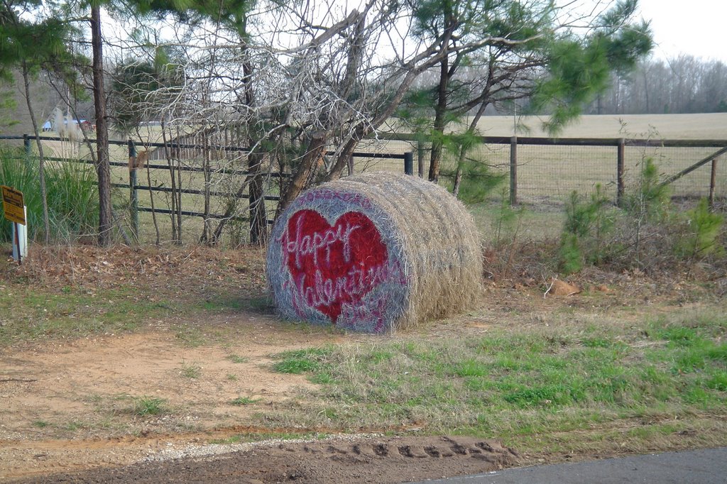 Hay! Happy Valentines Day!