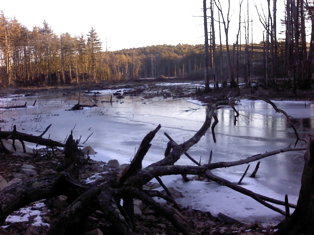 Cold winter morning 2012