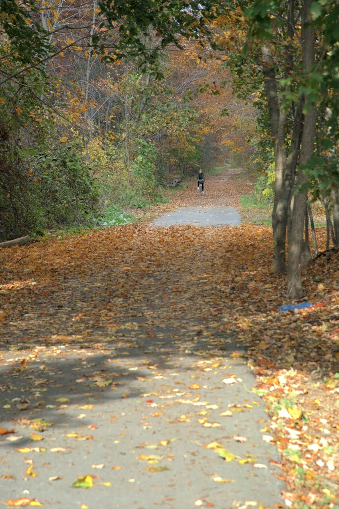 Rail Trail: Looking north