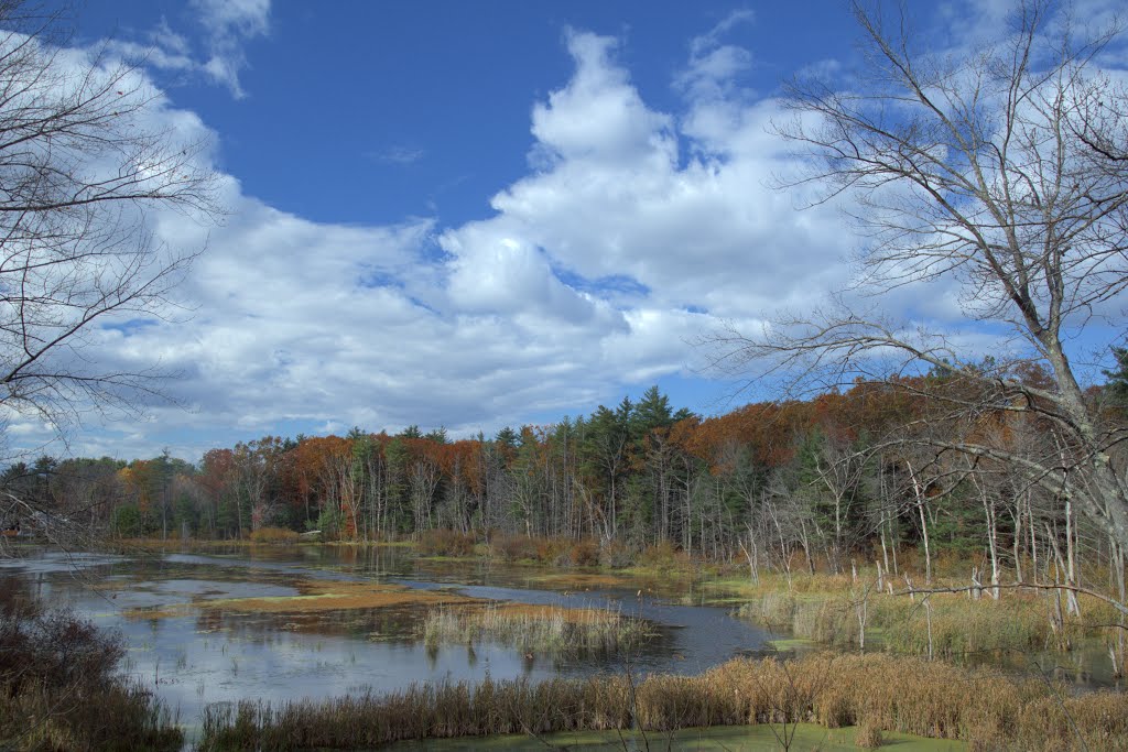 Rail Trail: Meadow to the northwest