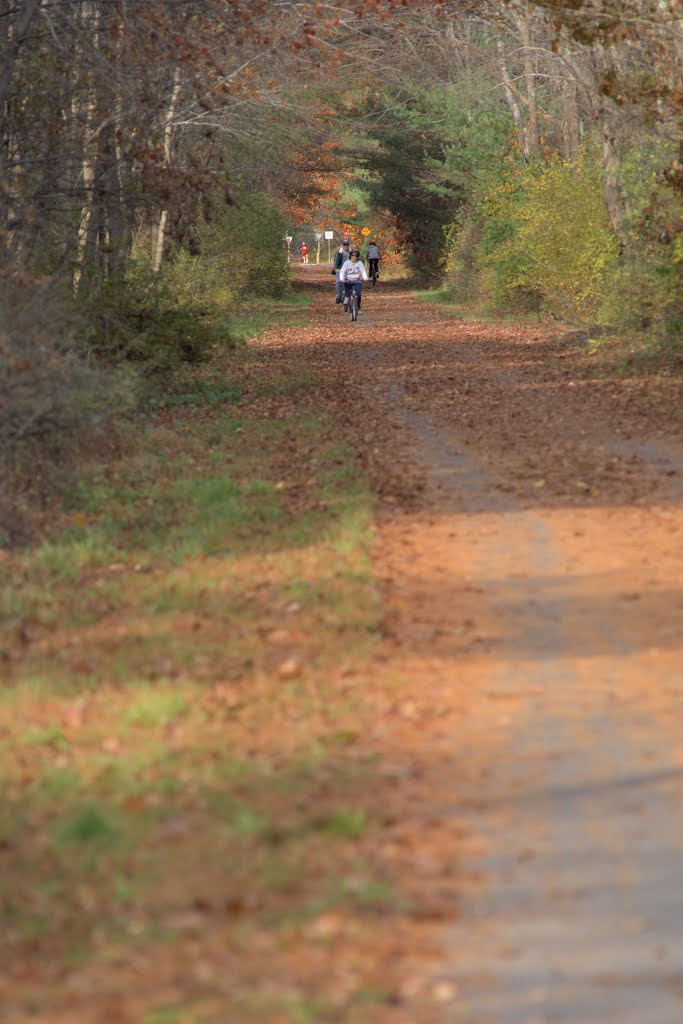 Rail Trail: Looking north