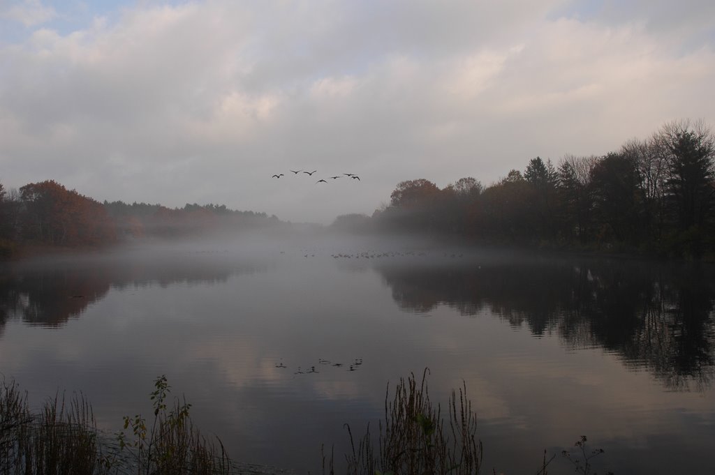 Ice House Pond (morning mist)
