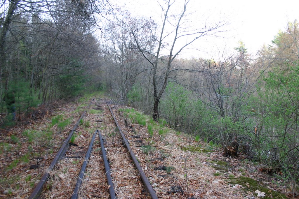 Abandoned rail line next to rte 27 in Acton
