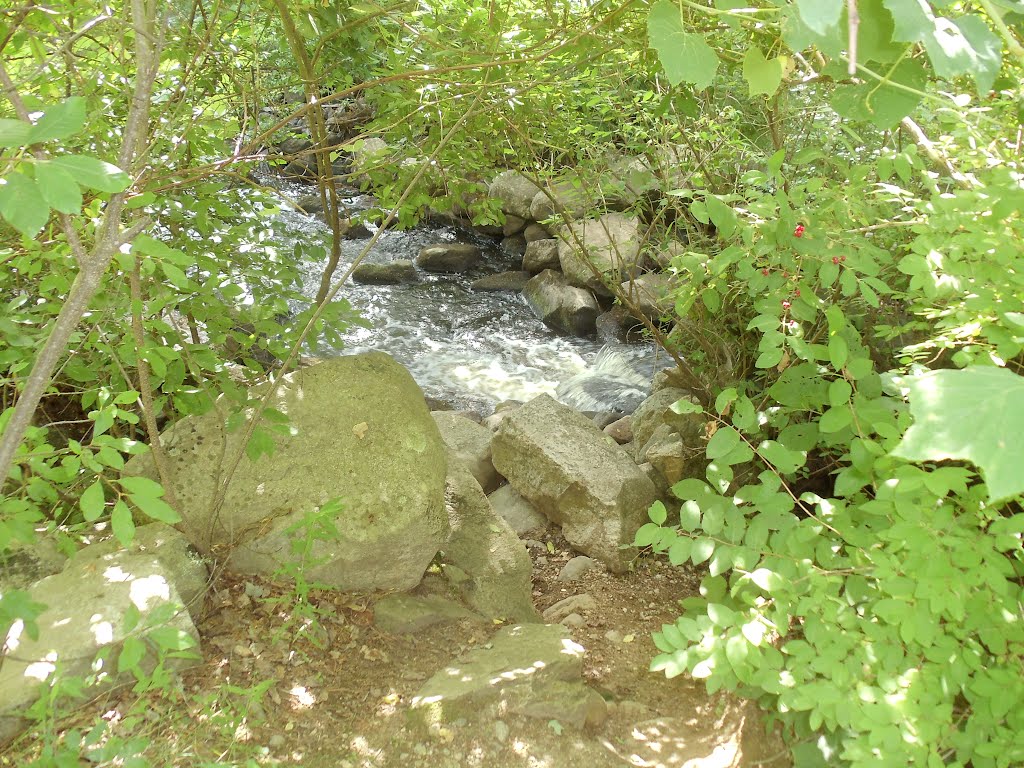 Nashoba Brook