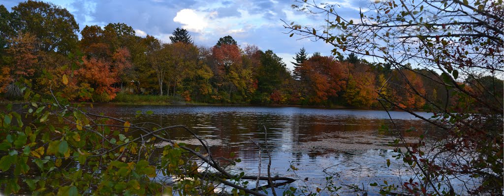 Icehouse Pond