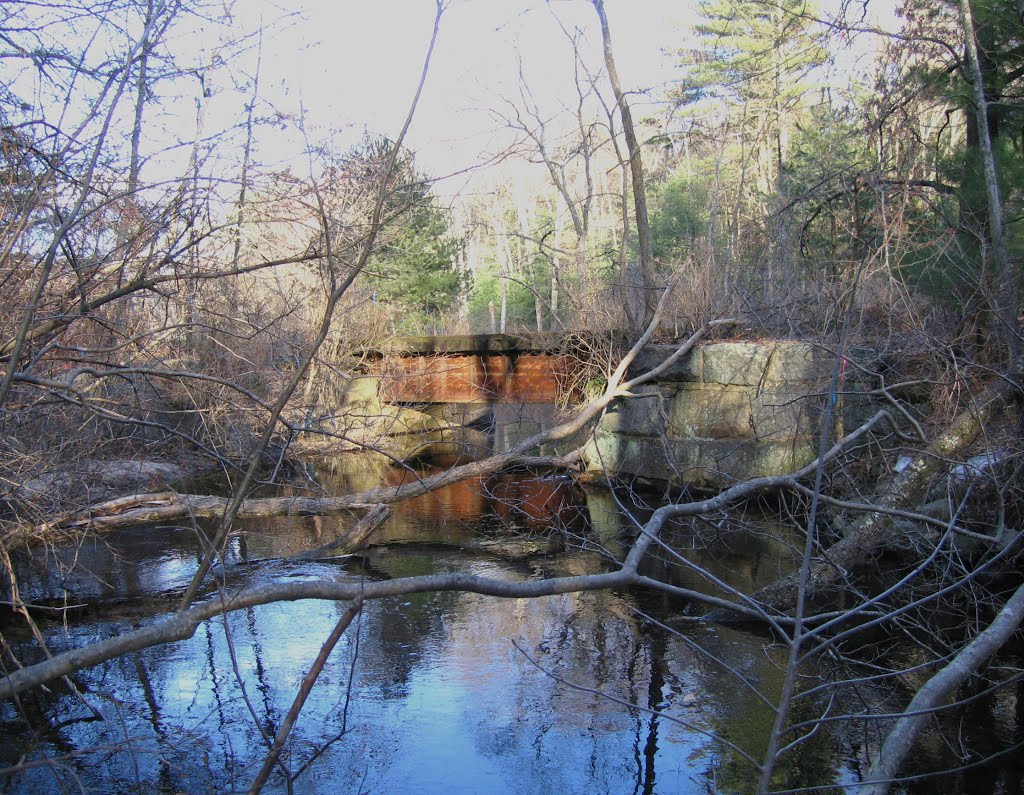 Old Train Bridge & Tree Bridges