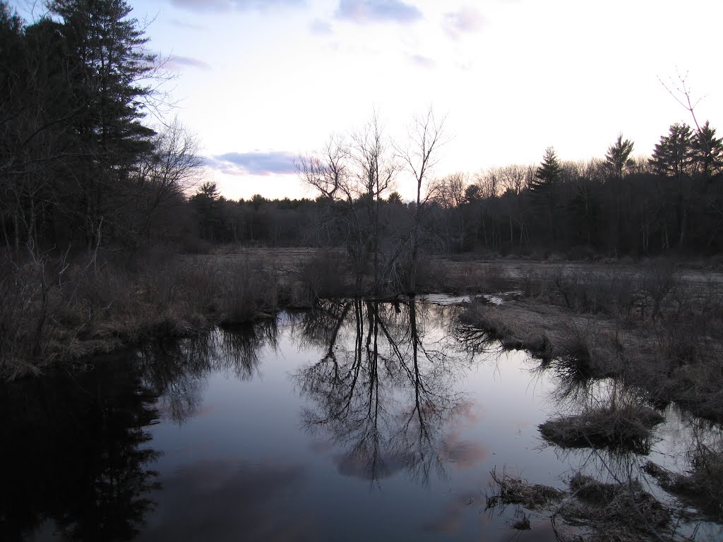 The Reflection is the Best Part