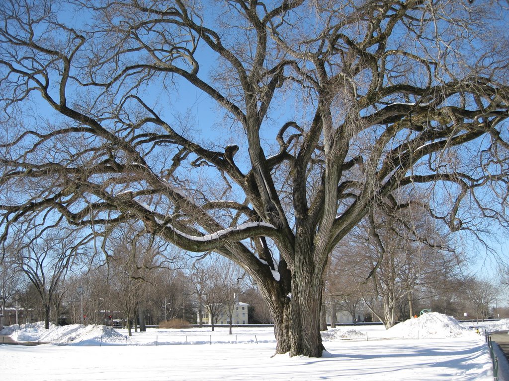 Winter in Andover