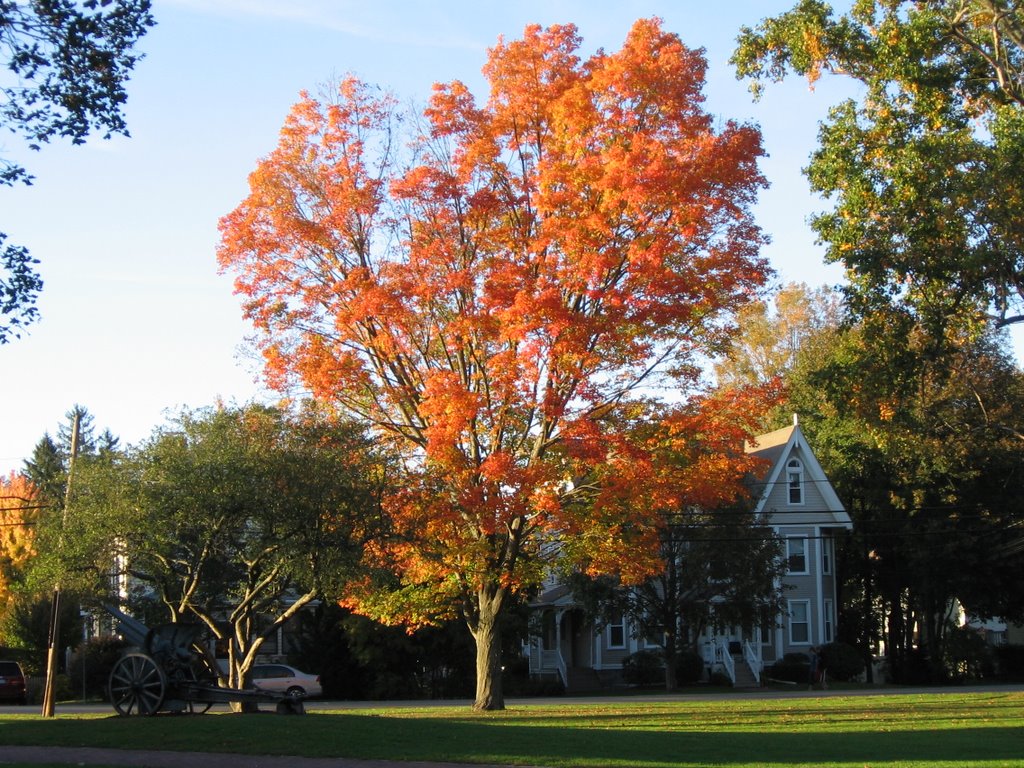 Andover Common