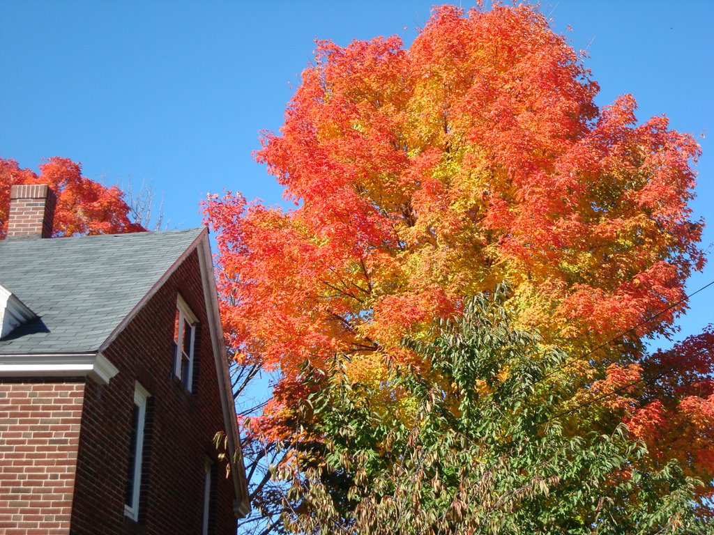Fall In Andover