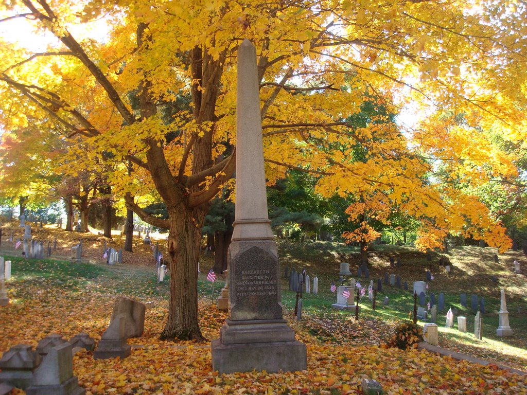 Fall in an Andover Cemetery