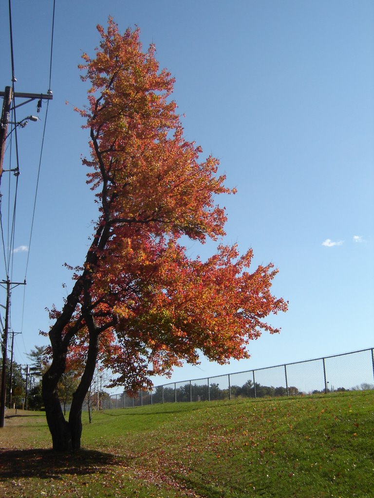 In front of Andover High School
