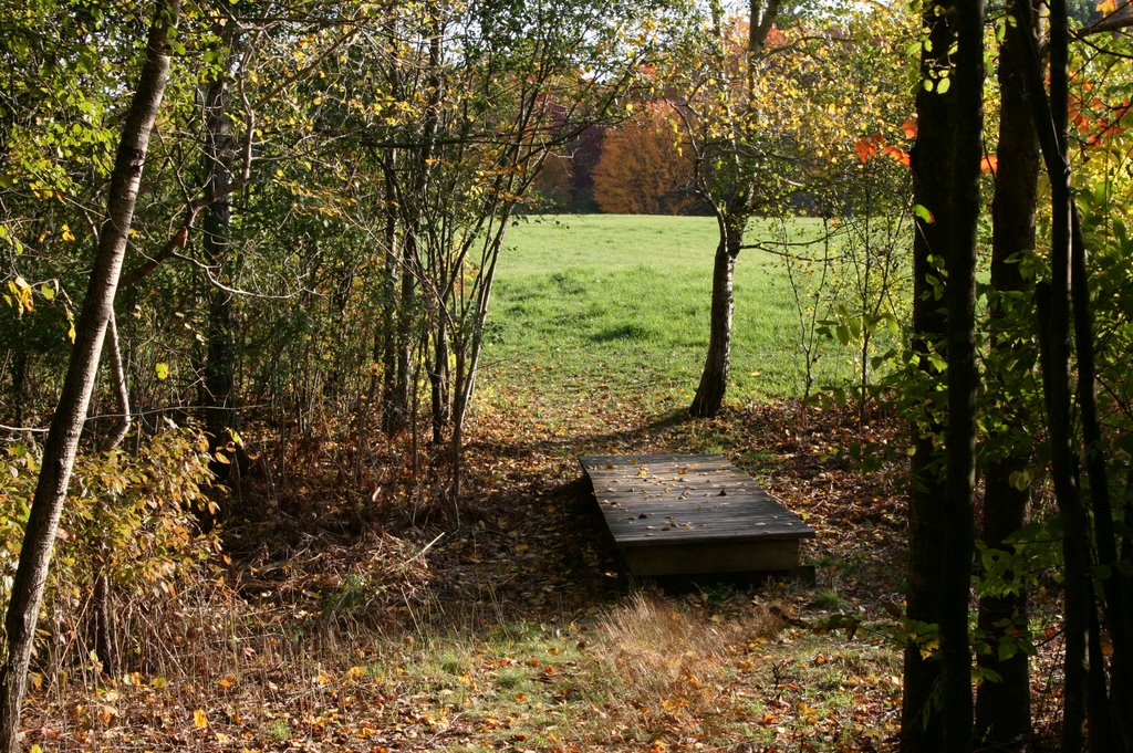 andover - meadow by route 133
