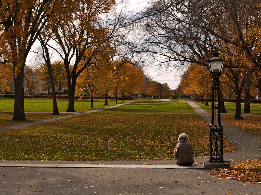 The Vista in the Fall
