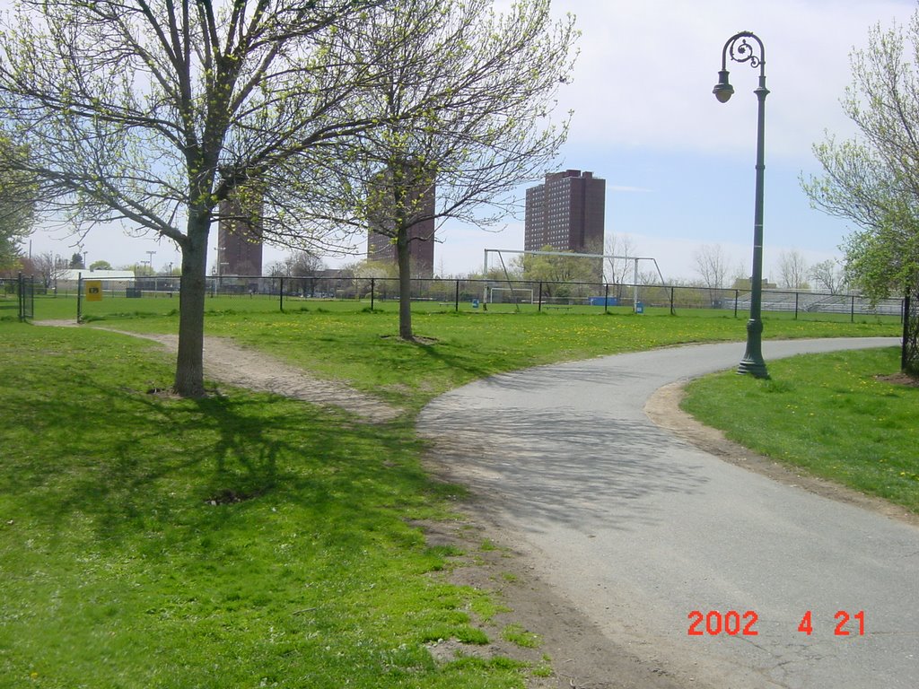 Alewife