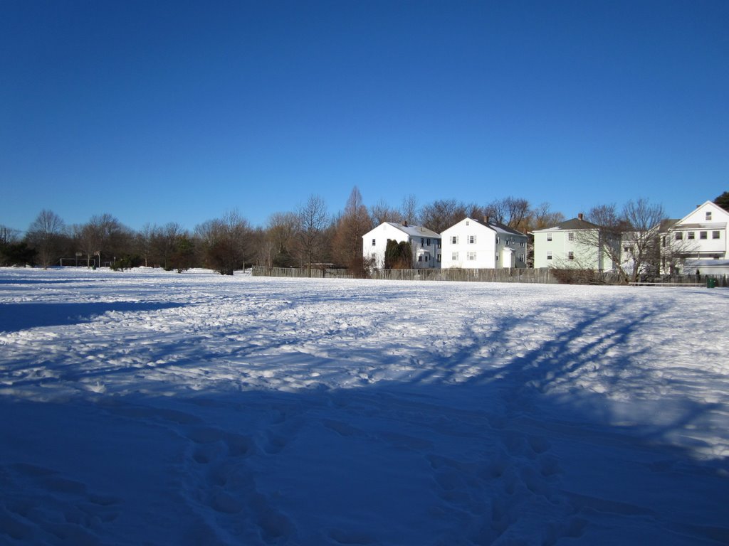 Magnolia Field-3