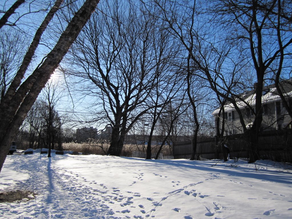 Magnolia Field-4