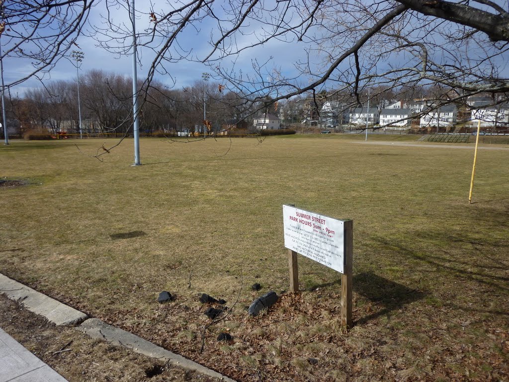 Arlington Summer Field