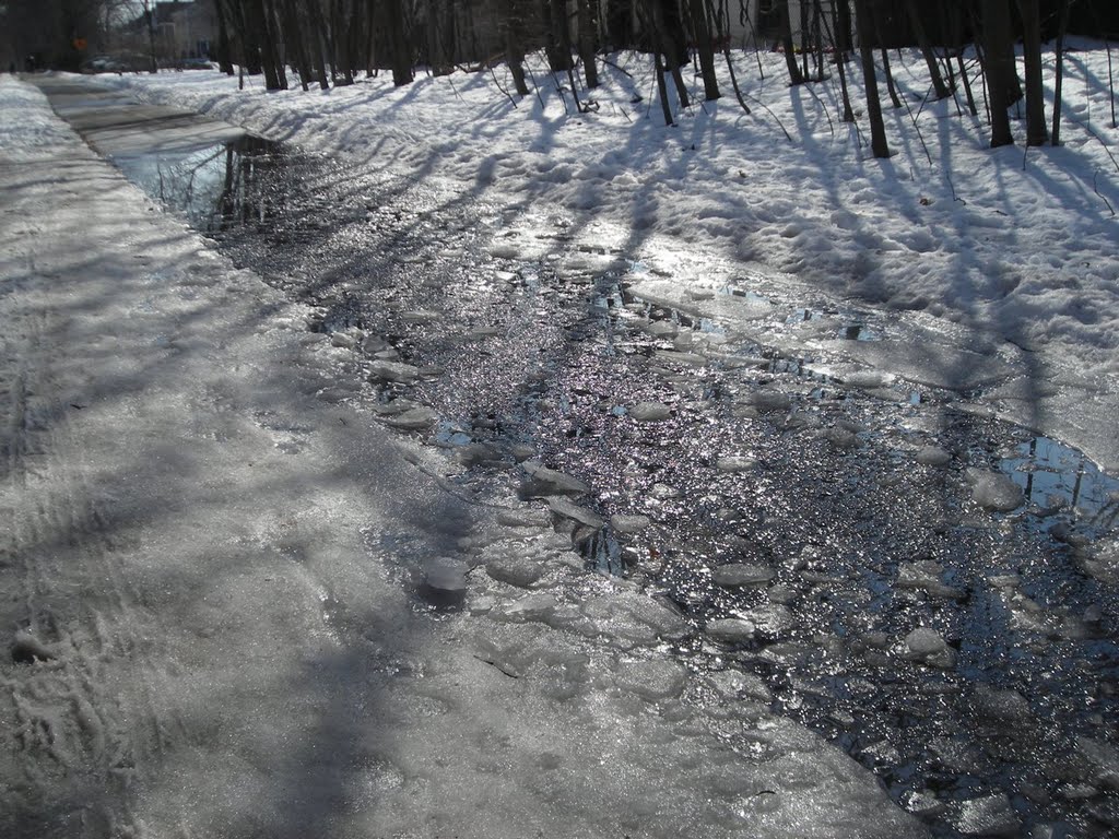 Melting ice on the Minuteman BIkeway Rail Trail near Lake Street, Arlington.  From my trail skating blog at http://minutemantrail.blogspot.com/2009/02/trail-conditions-coming-along-quickly.html.
