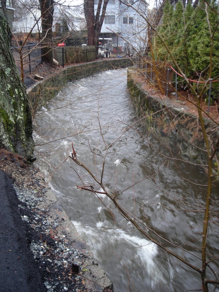 Mill Brook west of Forest Street.  From my trail skating blog at http://minutemantrail.blogspot.com/2010/03/special-all-flooding-edition.html.
