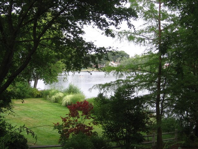 Beautiful View from an Arlington Property