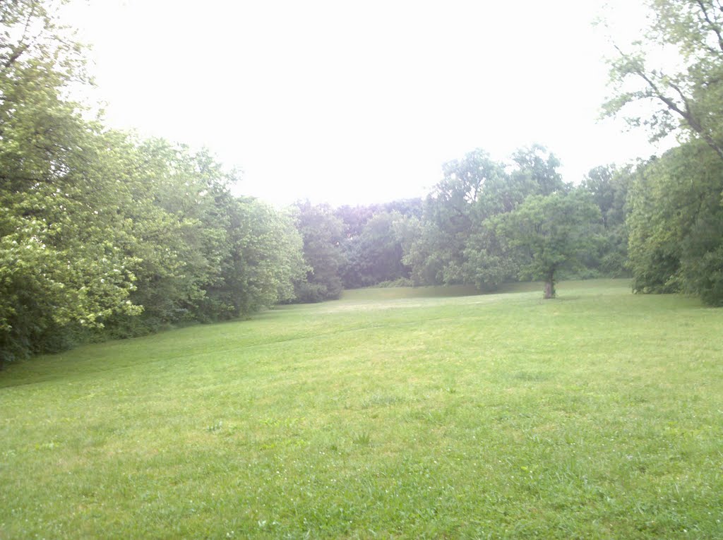 Meadow