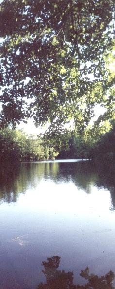brooks Pond