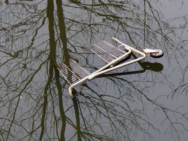Shopping cart in Alewife Brook