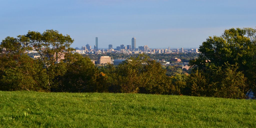 Robbins Farm Park - Arlington