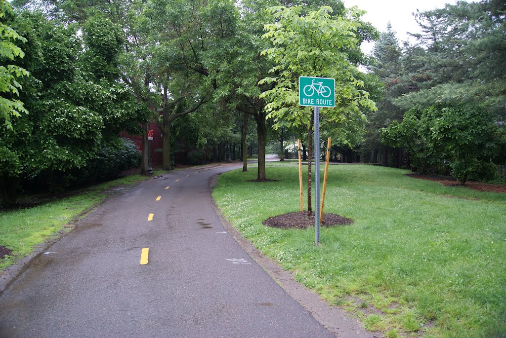 Alewife Linear Park, NE look