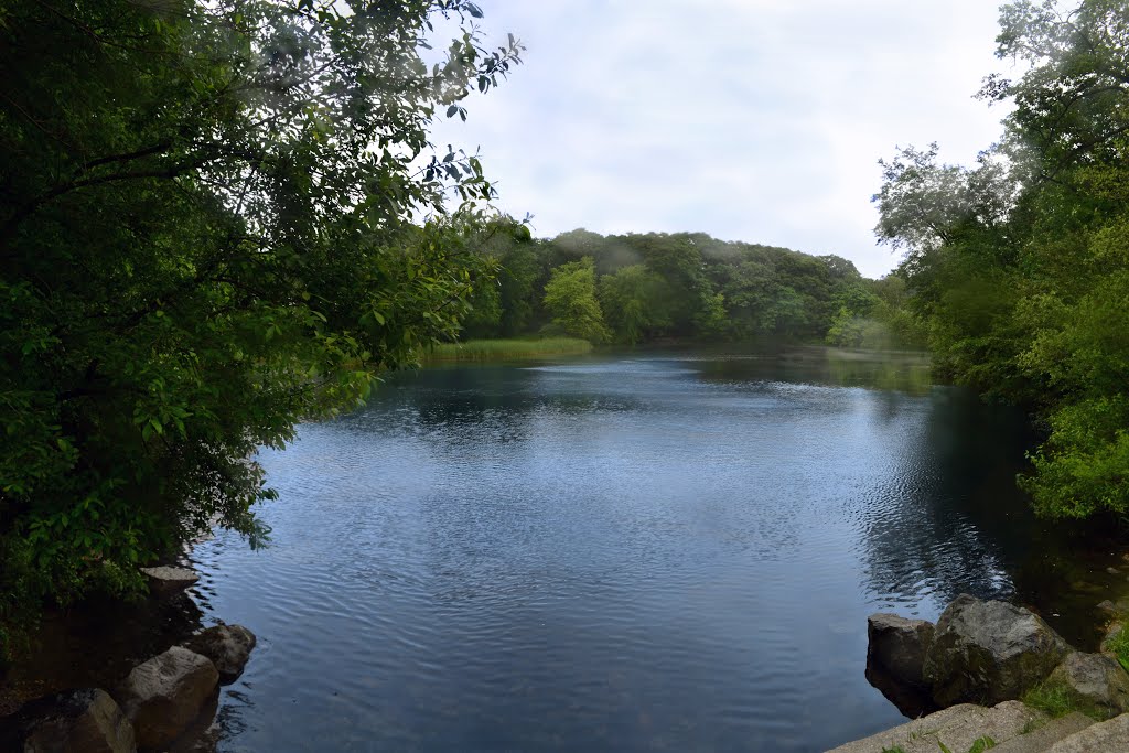 Monotomy Rocks Pond