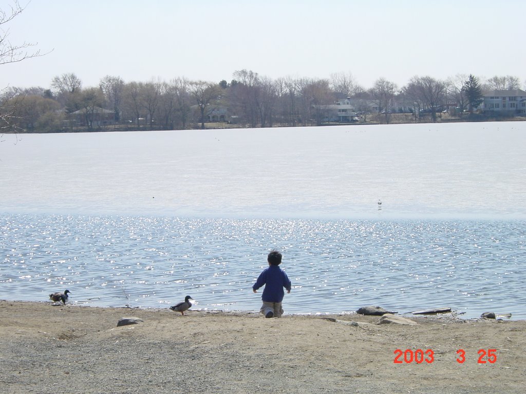 Spy pond