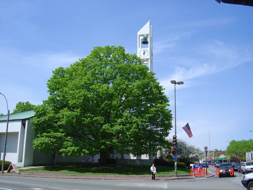 Arlington Mass, May 2004