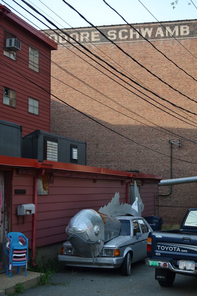 A Fishy Looking Car