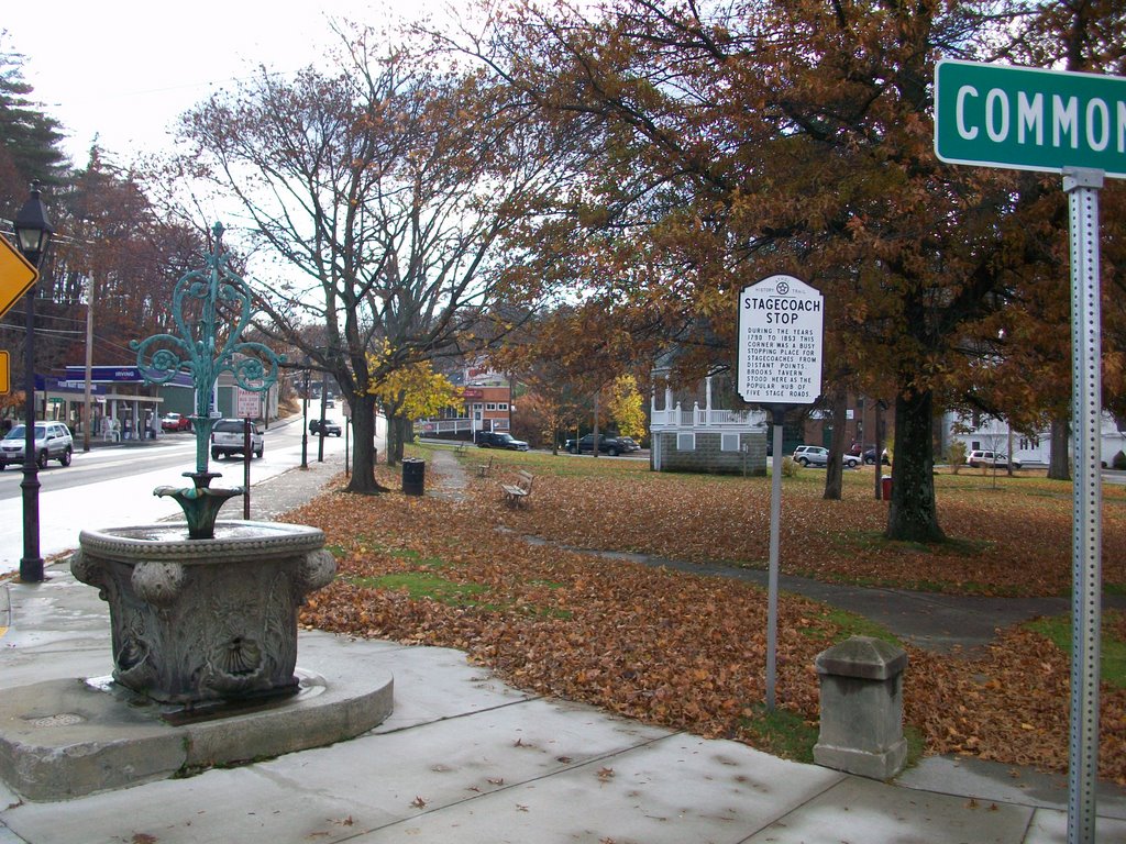 Athol Common